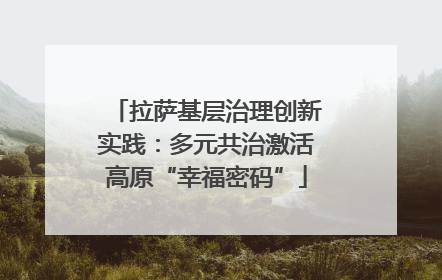 拉萨基层治理创新实践：多元共治激活高原“幸福密码”